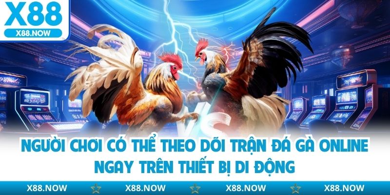 Người chơi có thể theo dõi trận đá gà online ngay trên thiết bị di động